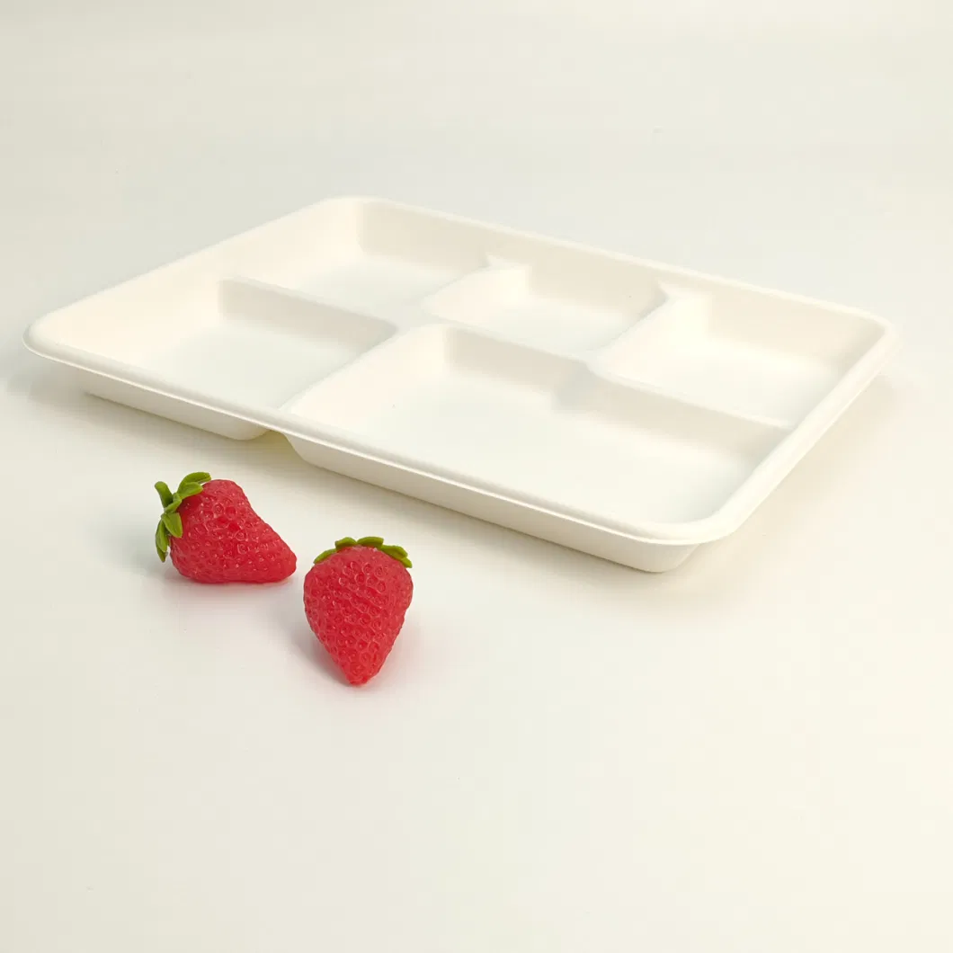 Disposable Sugarcane Bagasse Tableware Fruit and Vegetables Tray 5 Compartment Plate